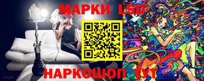 СК Кингисепп