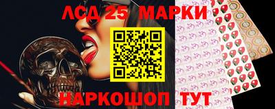 СК Кингисепп