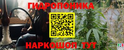 СК Кингисепп