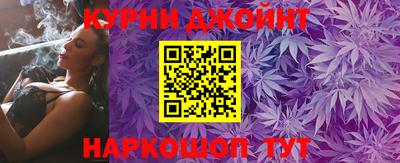 СК Кингисепп