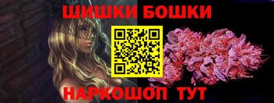 СК Кингисепп