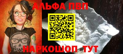 СК Кингисепп