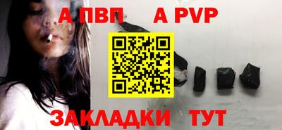 СК Кингисепп