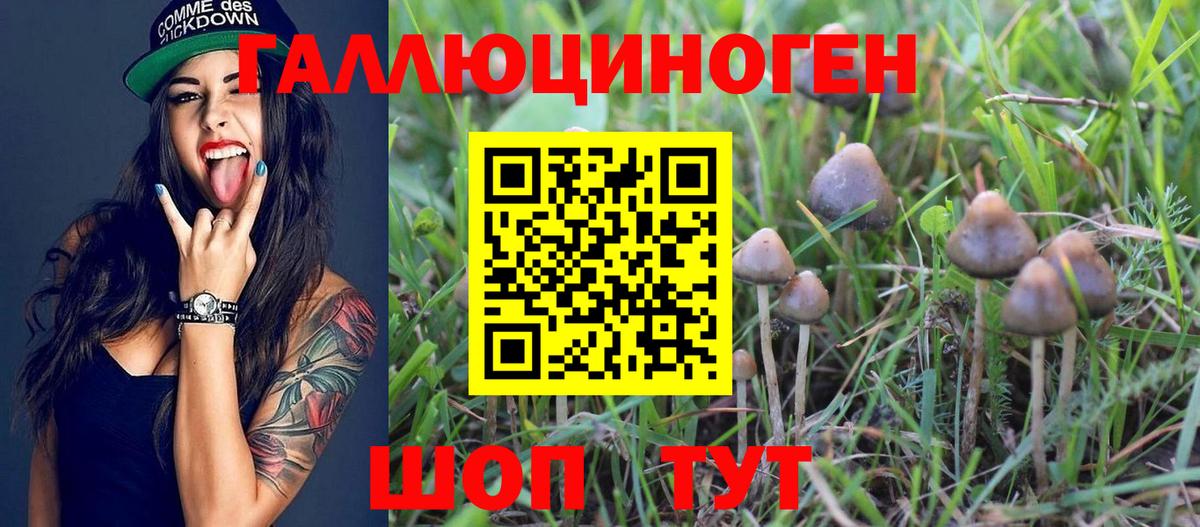 Кунгур  Галлюциногенные грибы прущие грибы  Вход с VPN 